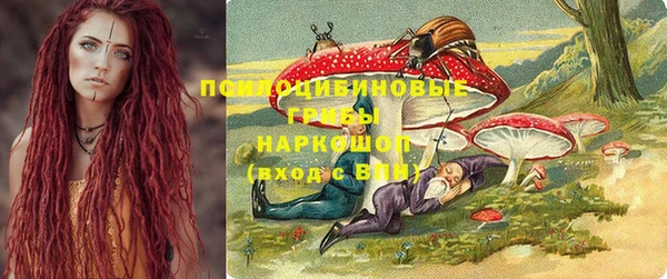 круглые Алзамай